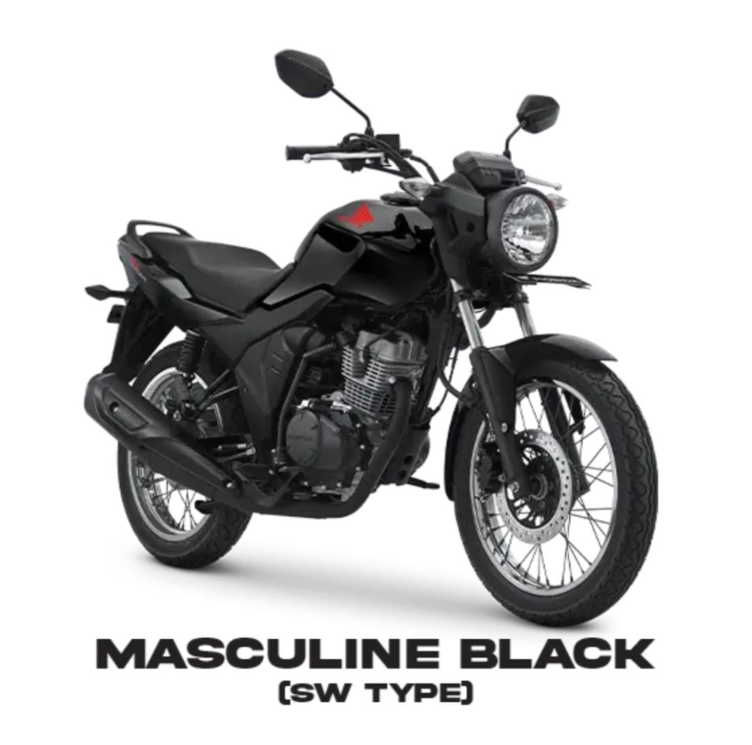 CB 150 VERZA SW