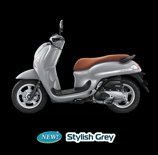 SCOOPY STYLISH GREY